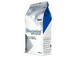 BLUEPRINT X CREME 500 GR