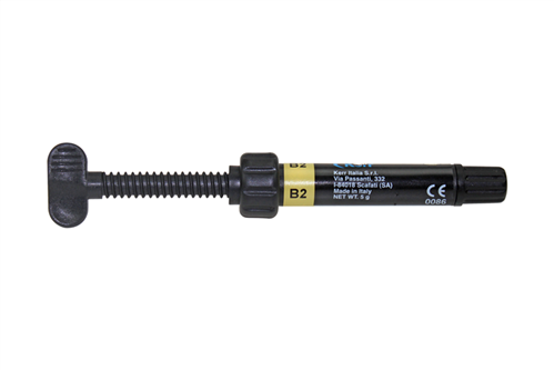 HERCULITE XRV DENTIN B2 SPRITZE