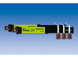 PARACORE PARAPOST AUTOMIX 5M DENTINE