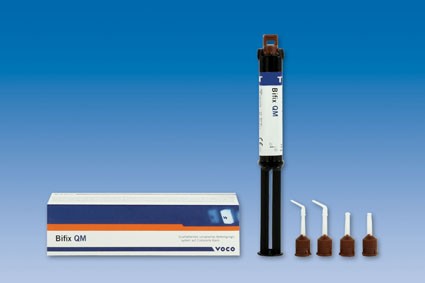 BIFIX QM SPRITZE T 10 G