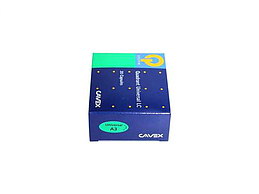 QUADRANT UNIV.LC CAPSULE A3 20 x 0.25 g