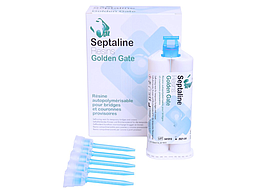 GOLDEN GATE RESINE COURONNE ET BRIDGE A2 56GR