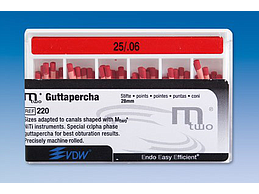 MTWO GUTTAPERCHASPITZEN 25/06 TAPER 06