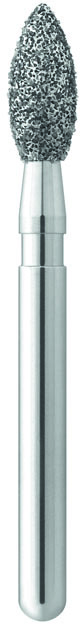 FRAISE 368 021