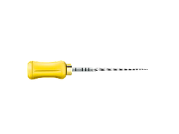 PROTAPER ASSORT MANUEL 31MM NEW