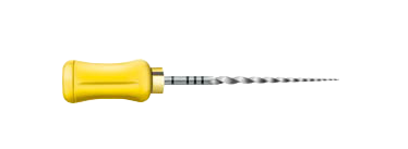 PROTAPER ASSORT MANUEL 31MM NEW