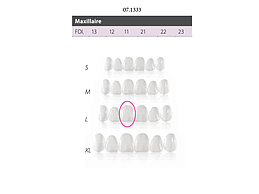 FACETTES COMPONEER UPPER L ENAMEL W OPAL 11