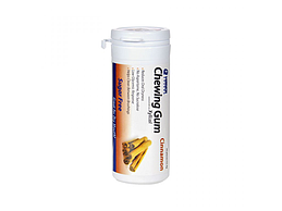 XYLITOL CINNAMON 30PCS