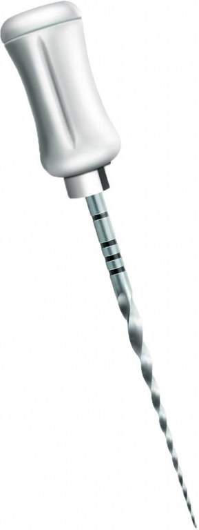 PROTAPER SHAPING MANUEL 31MM S2