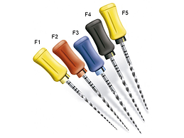PROTAPER FINISHING MANUEL F1 31MM