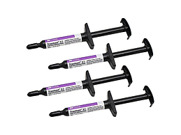 TRANSBOND XT SPRITZE 4X4GR