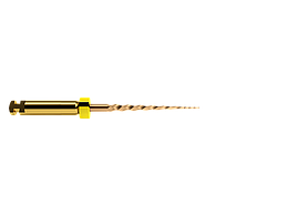 PROTAPER GOLD SX 19MM 6ST.