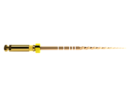 PROTAPER GOLD F1 21MM 6ST.