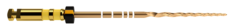 PROTAPER GOLD F5 21MM 6ST.
