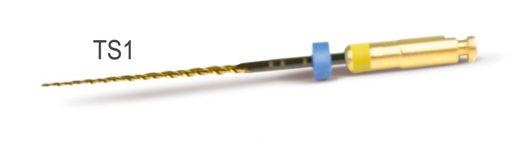 2SHAPE TS1 ISO 25 4% L25 CLASSIC STERIL